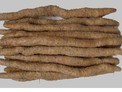 oYYBAFsoX7yALel8AACv2u4qnQ4880.jpg