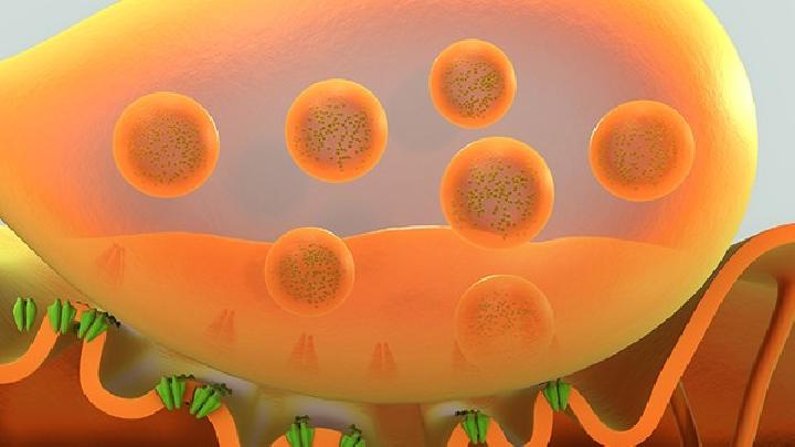 什么是幽门螺旋杆菌