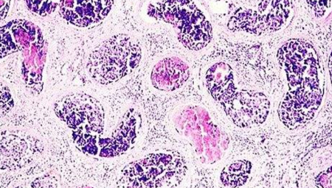 png QQ截图20180720210923.png