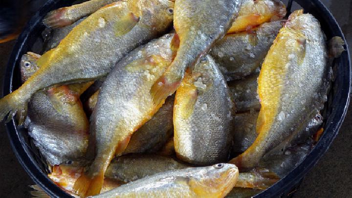 鱼类中哪些最适合夏季食用适合夏季食用的4种鱼类