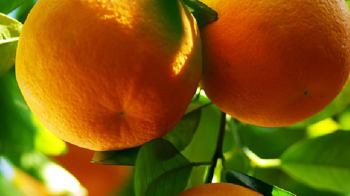 橘子中有什么营养价值?常吃橘子有5种养生功效