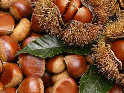 怎么快速去板栗皮 ooYBAFufc6uAY4zGAAFA7fPshL8392.jpg