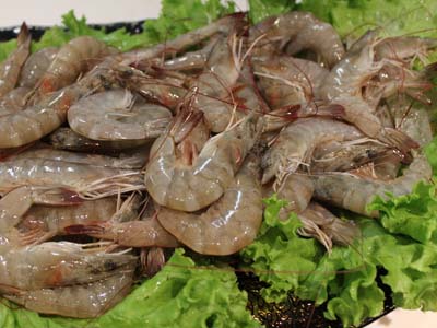 o4YBAFuvMQOAIhRfAAC72X-soaY298.jpg