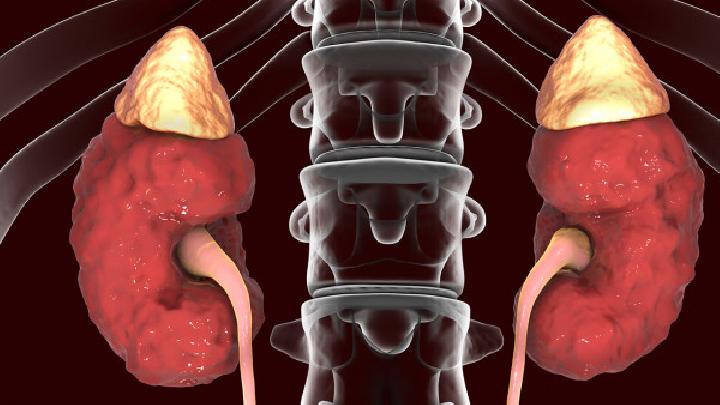 男性的8種補腎偏方能夠預防腎虛的4個動作