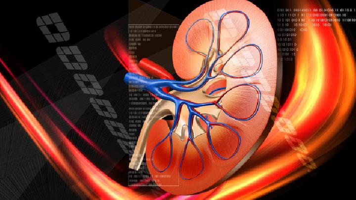 男性腎虛的食療方法男性腎虛可以吃這10種食物