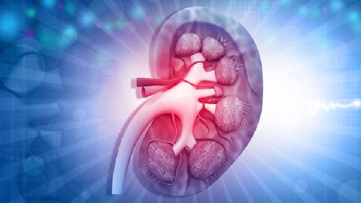 男性腎虛的食療方法男性腎虛可以吃這10種食物