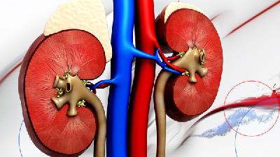 男性腎虛能吃肉嗎 男性腎虛可以吃這四種肉類