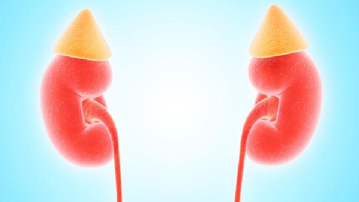 男性腎虛可以吃什么養(yǎng)腎男性腎虛吃羊骨有作用嗎