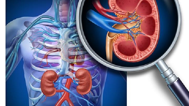 男性腎虛該如何進補教你4個按摩方法輕松治療腎虛