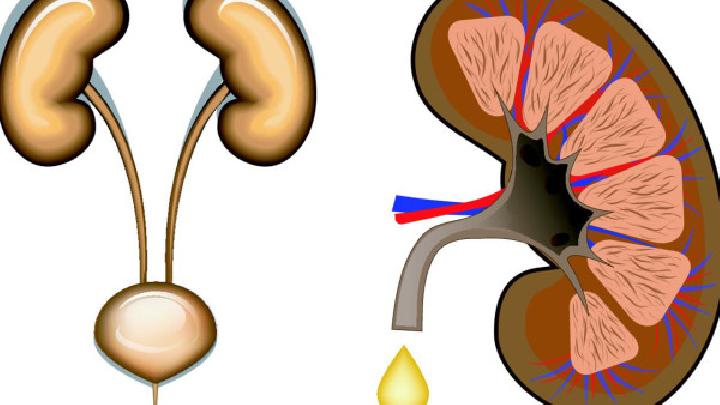 男性腎虛的食療方法男性腎虛吃這10種食物效果最好？