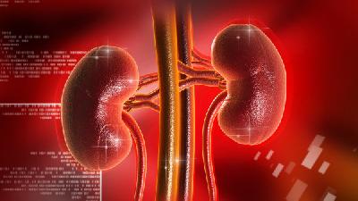 男人肾虚吃什么？这七种食物对补肾大有帮助