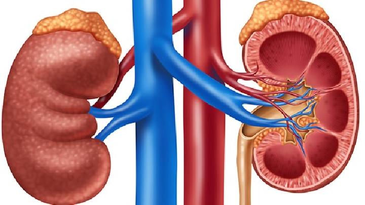 男性腎虛吃什么好給你推薦8種食物可以輕松補(bǔ)腎