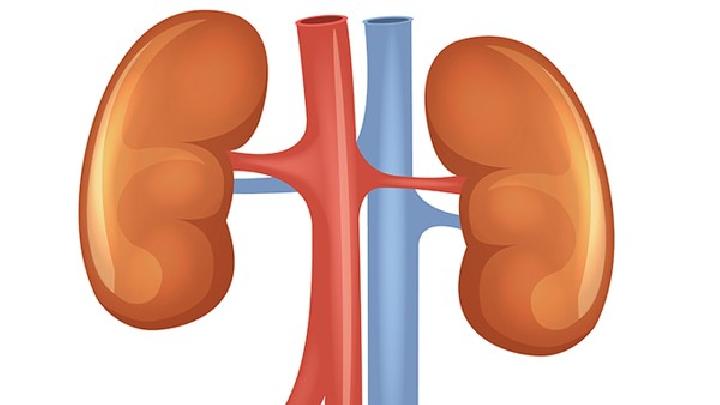 男性腎虛吃什么東西好男性腎虛的10種食療方法