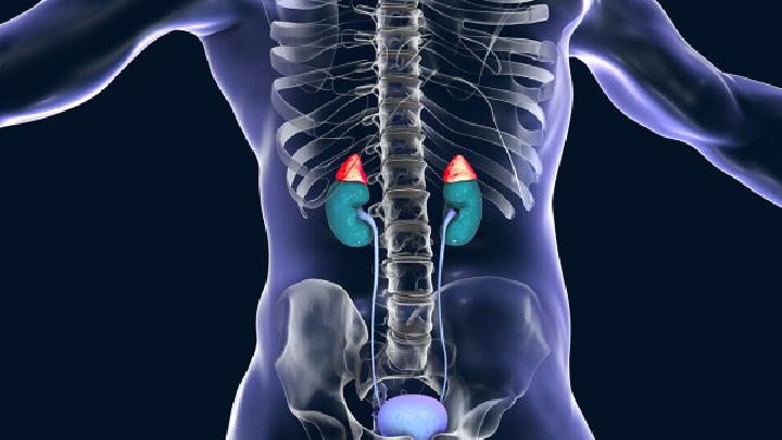 男性腎虛吃什么東西好男性腎虛的10種食療方法