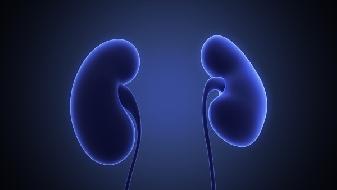 女人肾虚的16大症状 女性肾虚怎么办才好 - 复禾健康