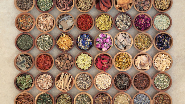 巴豆的功效与作用 巴豆有哪些使用禁忌？