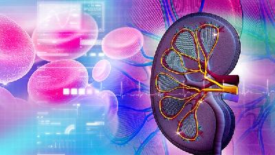 中医怎么补肾比较好 冬季男性肾虚可以吃这6种食物