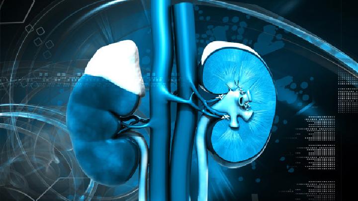 男性腎虛吃什么好男性腎虛可以吃這6種食物