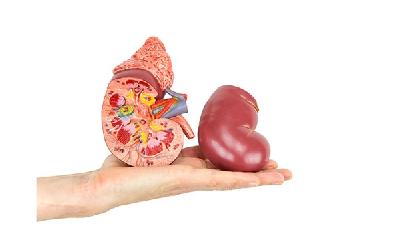 女性腎虛能吃什么？女性腎虛可以多吃這5種黑色食物