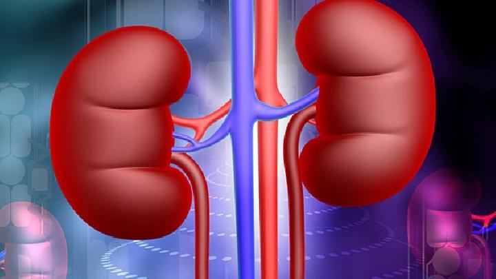 男性腎虛怎么進(jìn)行補(bǔ)腎好呢男性腎虛可以吃這5種食物