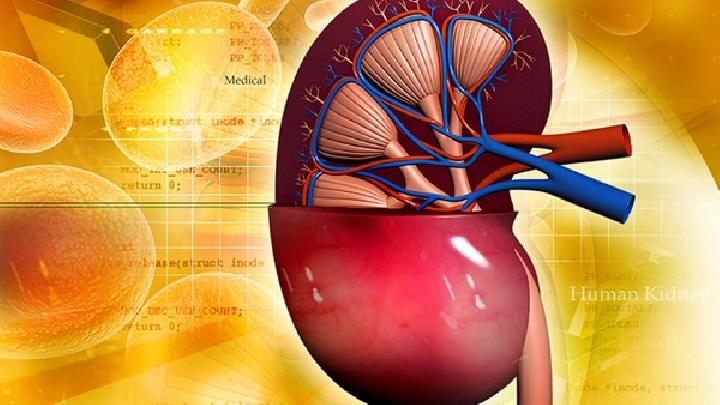 男性腎虛吃什么食物比較好男性腎虛可以吃這6種常見食物