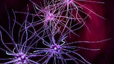 梅毒病的症状表现都有什么？梅毒症状表现主要分为三期