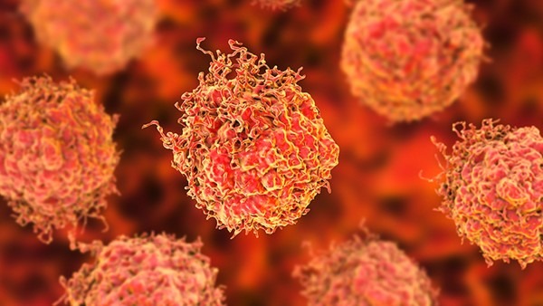英国研究团队发现：癌基因突变与器官特异性的关系