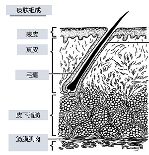 刮完胡子如何防止毛囊炎？这个方法可以一试