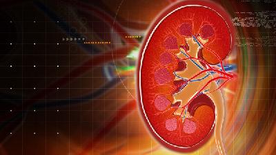 急性腎炎病因有哪些 4個導致急性腎炎病因早知道