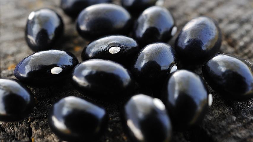 蓝莓一天吃多少合适？蓝莓吃多了会有哪些危害？