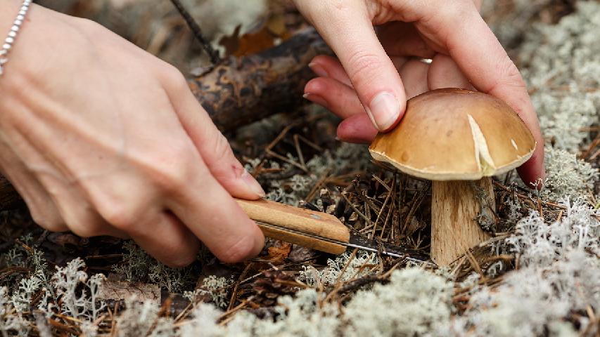 丙肝吃護(hù)肝片有用嗎？這3種方法可積極治療丙肝