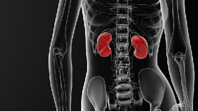 慢性肾炎的人能够吃海带吗 医生讲解慢性肾炎食用海带事宜