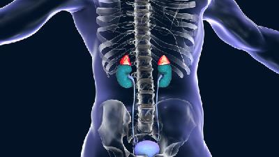 腎盂性腎炎該如何治療 腎盂性腎炎治療需從三方面入手