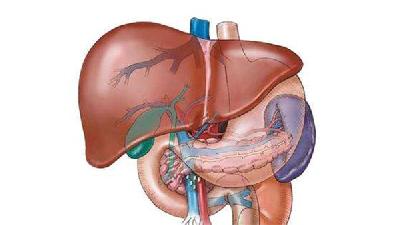 脂肪肝有什么症状表现 脂肪肝的6大症状表现