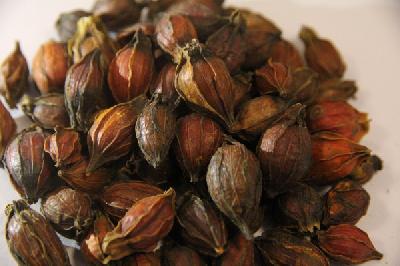 肺癌复发有哪些临床表现 中医治疗肺癌的优势有哪些