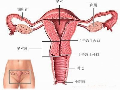 oYYBAFvqm_OAcQ39AABtEZ8WcDE334.jpg