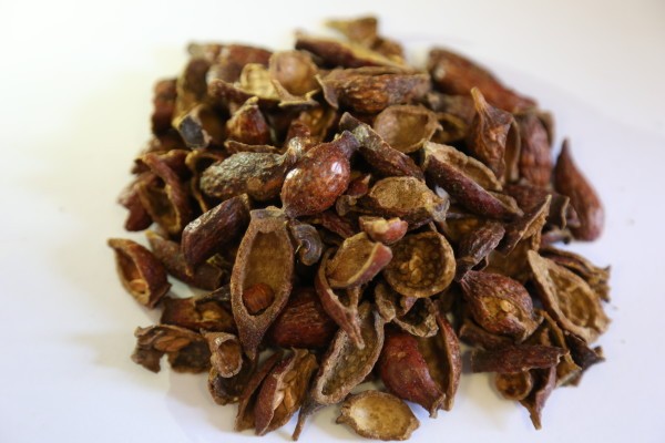 老年人前额头痛吃哪些药物好