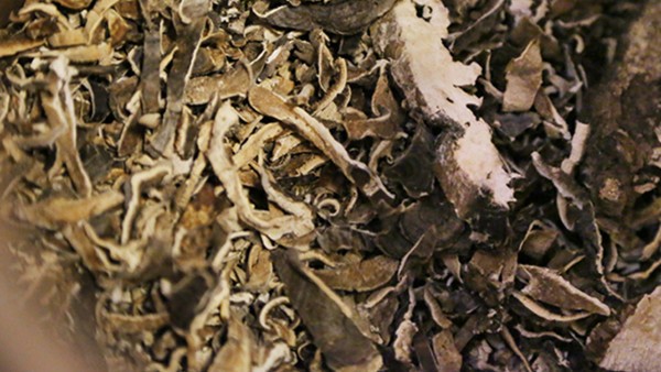例假量少吃什么药