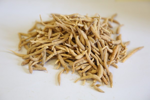 绝经药物治疗的介绍