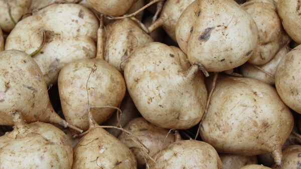 萎缩性胃炎能吃山药吗