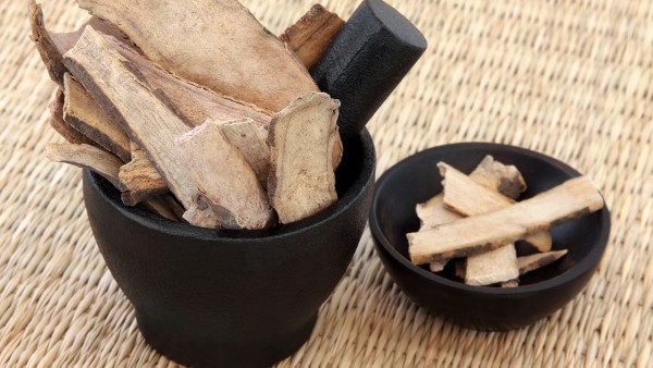 补肾壮阳的中药有哪些