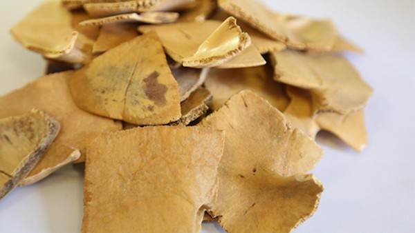 羊癫风用药的介绍