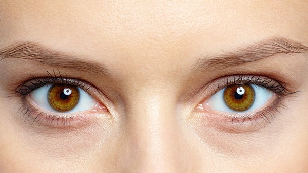 眼科医生讲解：6种清肝明目天然草药，第一种可防治视网膜病变
