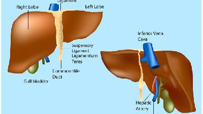 治疗肝癌医院全国哪家最好 选择肝癌治疗医院看这几点