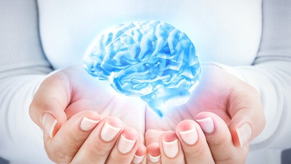 体外神经元实验展示大脑部分工作过程
