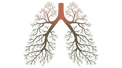 肺癌的治疗方法有哪些 中医辅助治疗肺癌效果分析