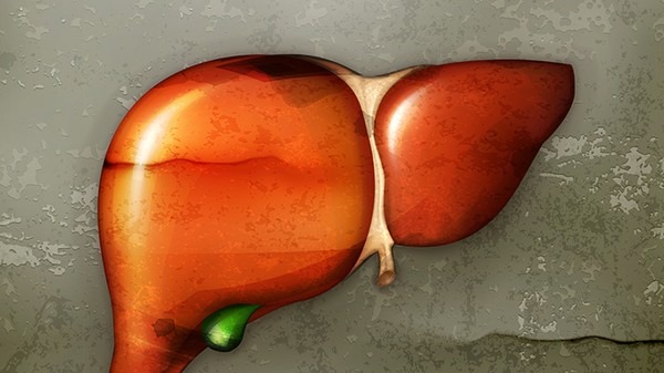 脂肪肝的危害有哪些？脂肪肝的几个有效治疗方法