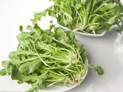 吃菠菜眼睛亮 吃蛋黄眼健康 对眼睛好的食物要多吃