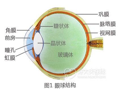 葡萄膜炎为什么需要很多辅助检查?