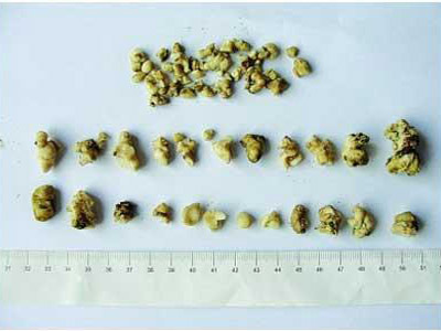 oYYBAFwgbeiACh-dAAC0a06-Xsc022.jpg